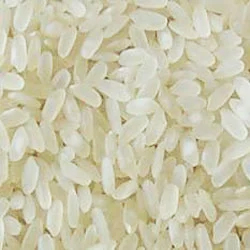 Japanese Rice